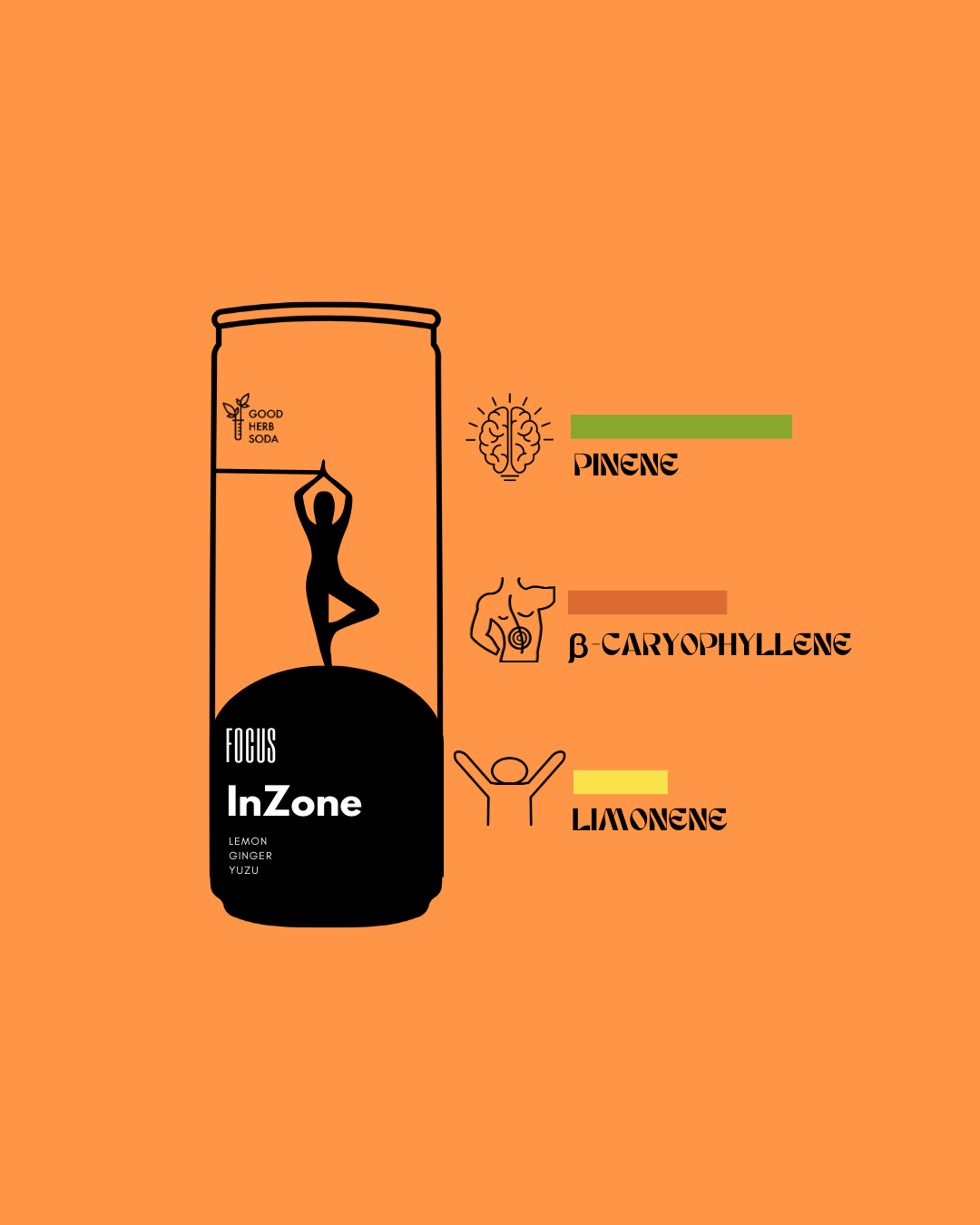 GOOD HERB SODA - INZONE 12 x 250ml Cans