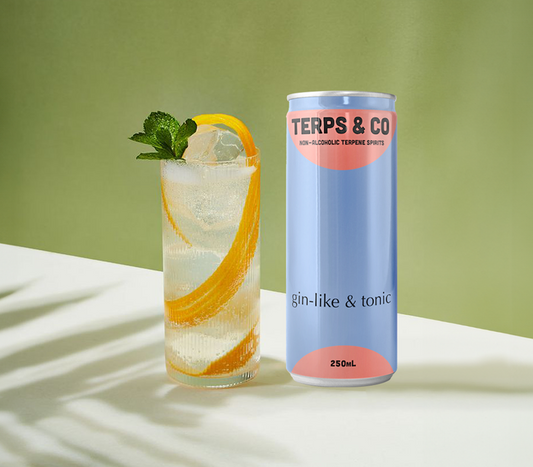 TERPS & CO GIN-LIKE AND TONIC - 10 x 250ml cans